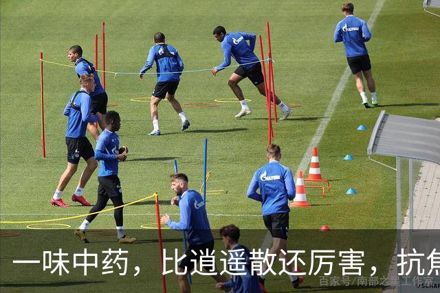 一味中药，比逍遥散还厉害，抗焦虑、抗抑郁，失眠、多梦、健忘也能治