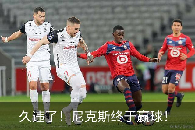 久违了！尼克斯终于赢球！