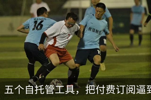 五个自托管工具，把付费订阅逼到墙角