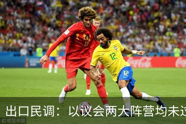 出口民调：以议会两大阵营均未过半 组阁有悬念