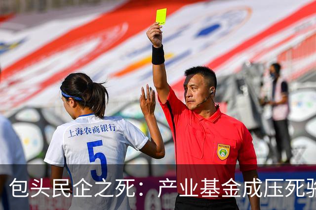包头民企之死：产业基金成压死骆驼的稻草