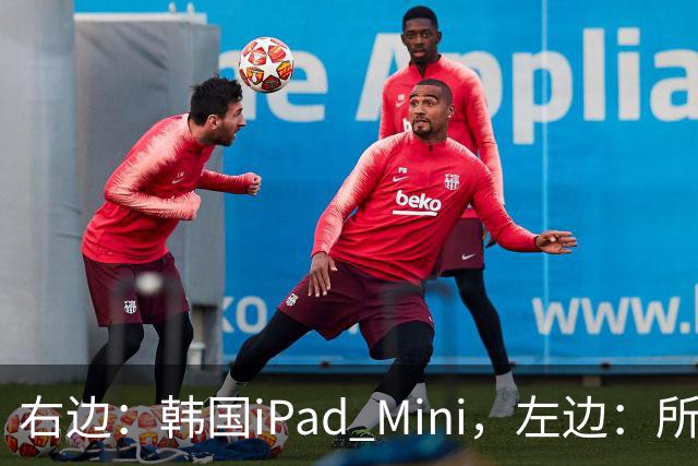 右边：韩国iPad Mini，左边：所有其他国家的iPad Mini