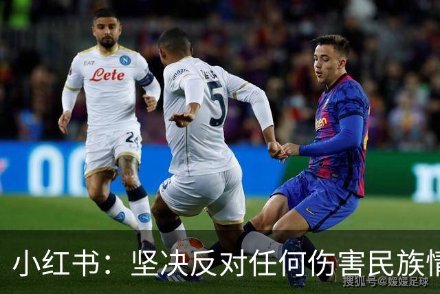 小红书：坚决反对任何伤害民族情感的行为，与姆巴佩内容合作已于2024年12月31日结束，目前正持续核查并下架相关物料