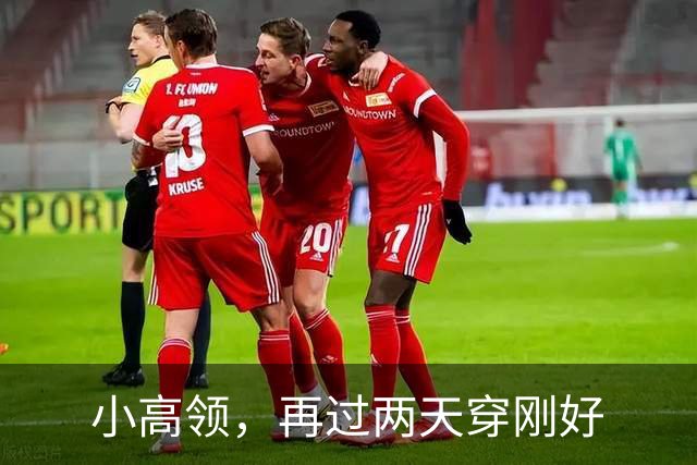 小高领，再过两天穿刚好