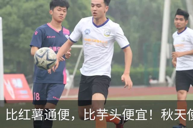 比红薯通便，比芋头便宜！秋天使劲吃，一降火、二润肺、三强筋骨