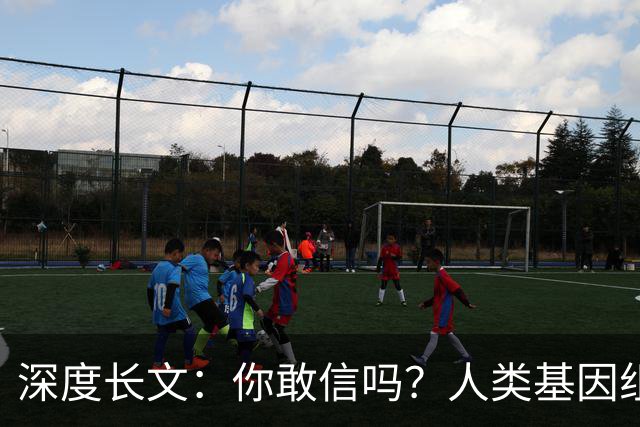 深度长文：你敢信吗？人类基因组就是个跑了38亿年没人敢重构的屎山代码