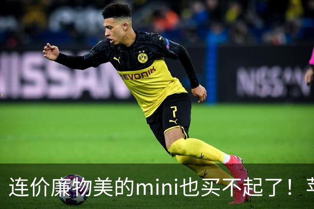 连价廉物美的mini也买不起了！苹果iPad mini8开售，顶配版破万