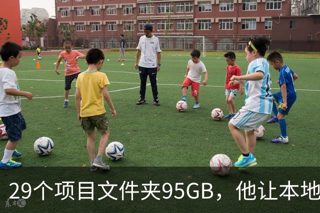 29个项目文件夹95GB，他让本地模型逐个判生死
