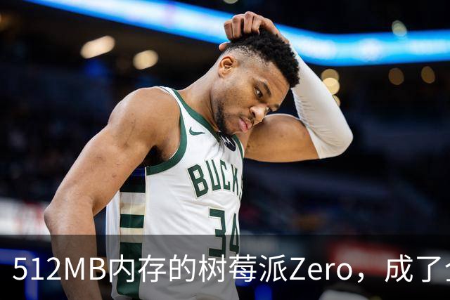 512MB内存的树莓派Zero，成了全家网络的DNS中枢