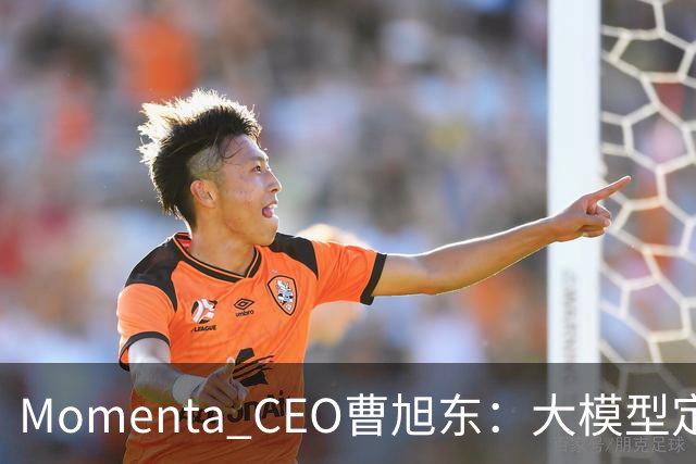 Momenta CEO曹旭东：大模型定义芯片 才有可能实现规模化L4